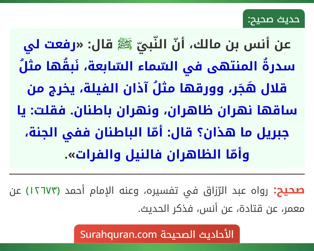 عن أنس بن مالك، أنّ النّبيّ ﷺ قال: «رفعت لي سدرةُ المنتهى في السّماء السّابعة، نَبقُها مثلُ قلال هَجَر، وورقها مثلُ آذان الفيلة، يخرج من ساقها نهران ظاهران، ونهران باطنان. فقلت: يا جبريل ما هذان؟ قال: أمّا الباطنان ففي الجنة، وأمّا الظاهران فالنيل والفرات».