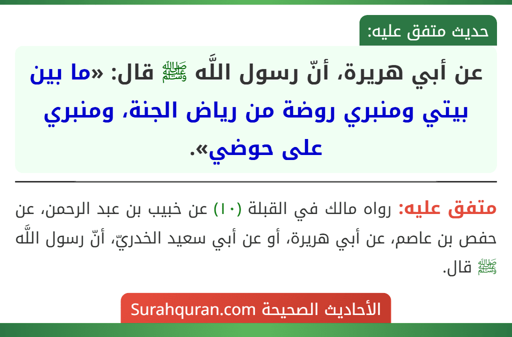 عن أبي هريرة، أنّ رسول اللَّه ﷺ قال: «ما بين بيتي ومنبري روضة من رياض الجنة، ومنبري على حوضي».