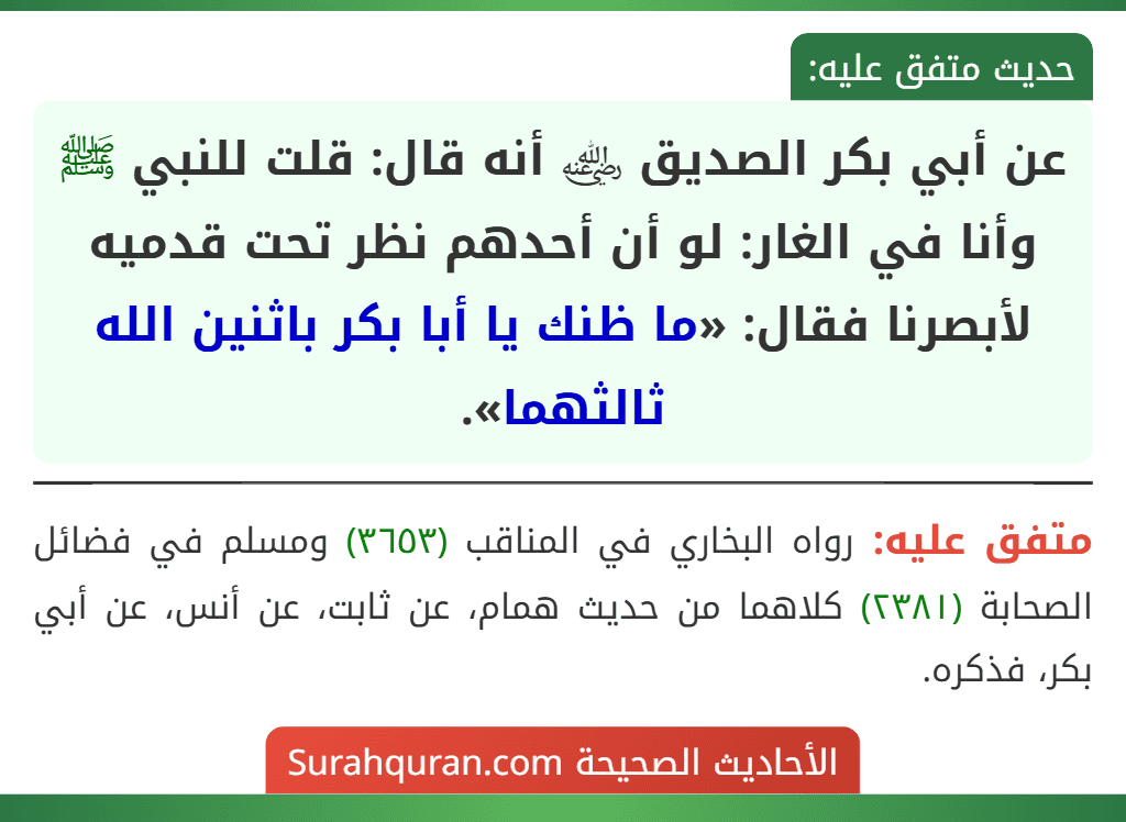 عن أبي بكر الصديق ﵁ أنه قال: قلت للنبي ﷺ وأنا في الغار: لو أن أحدهم نظر تحت قدميه لأبصرنا فقال: «ما ظنك يا أبا بكر باثنين الله ثالثهما».