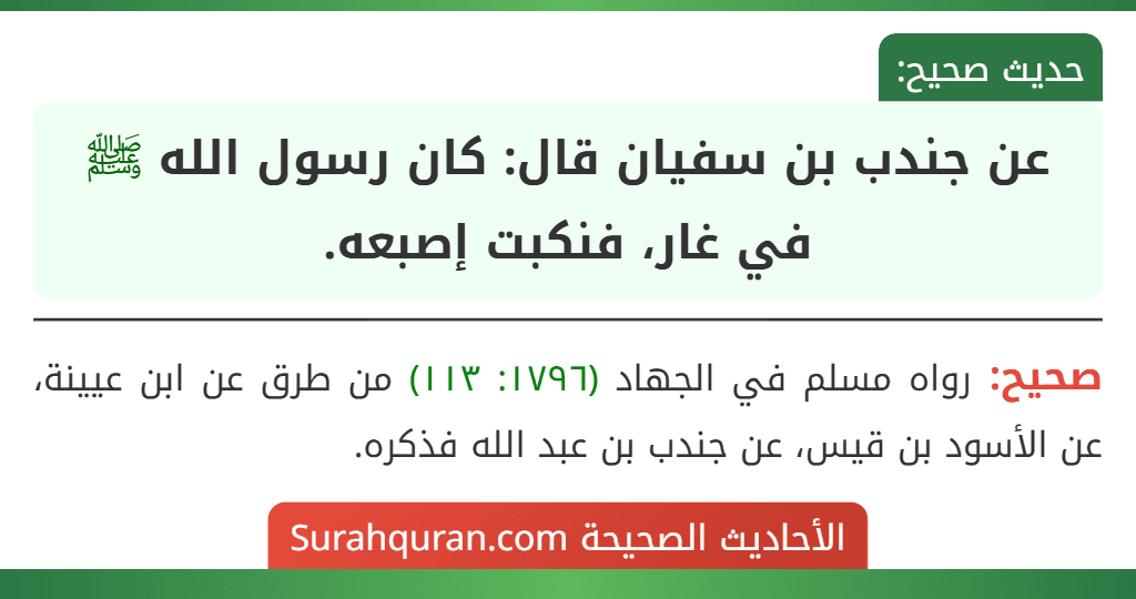 عن جندب بن سفيان قال: كان رسول الله ﷺ في غار، فنكبت إصبعه.
