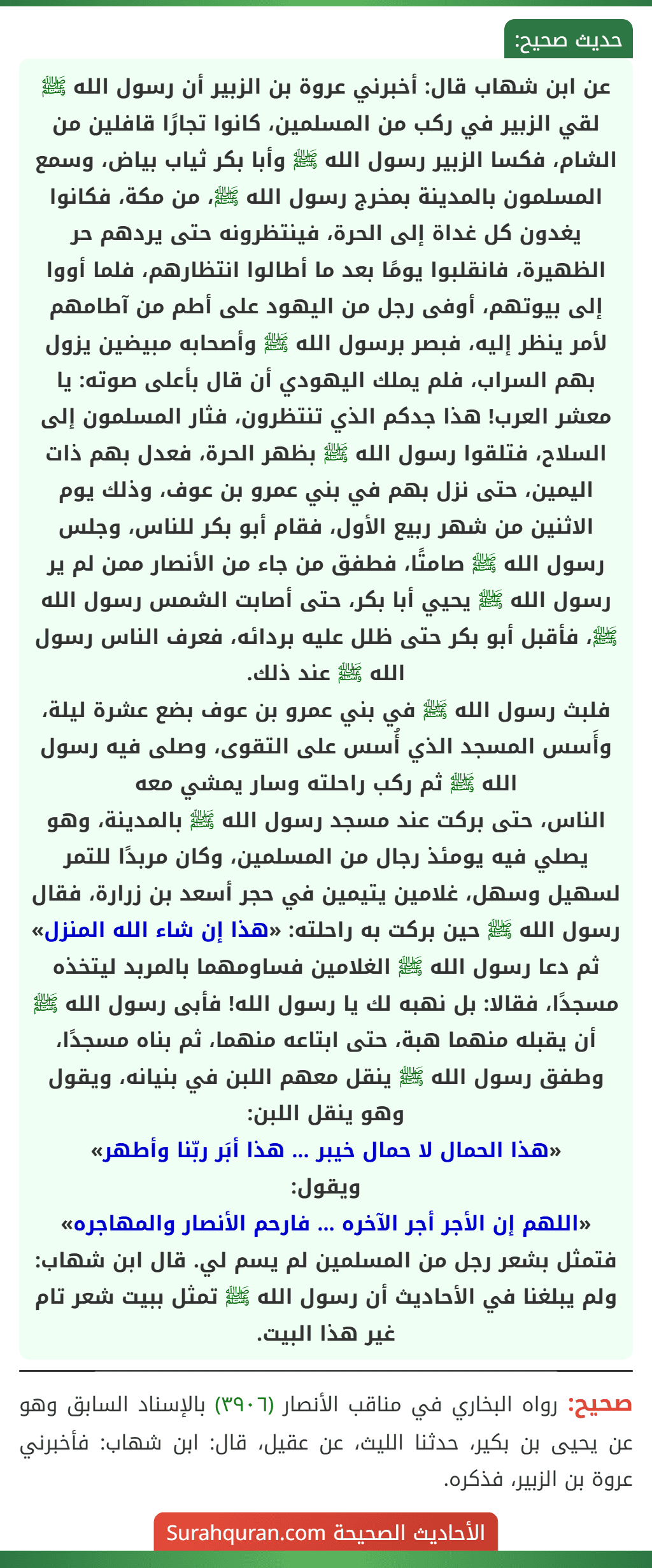 عن ابن شهاب قال: أخبرني عروة بن الزبير أن رسول الله ﷺ لقي الزبير في ركب من المسلمين، كانوا تجارًا قافلين من الشام، فكسا الزبير رسول الله ﷺ وأبا بكر ثياب بياض، وسمع المسلمون بالمدينة بمخرج رسول الله ﷺ، من مكة، فكانوا يغدون كل غداة إلى الحرة، فينتظرونه حتى يردهم حر الظهيرة، فانقلبوا يومًا بعد ما أطالوا انتظارهم، فلما أووا إلى بيوتهم، أوفى رجل من اليهود على أطم من آطامهم لأمر ينظر إليه، فبصر برسول الله ﷺ وأصحابه مبيضين يزول بهم السراب، فلم يملك اليهودي أن قال بأعلى صوته: يا معشر العرب! هذا جدكم الذي تنتظرون، فثار المسلمون إلى السلاح، فتلقوا رسول الله ﷺ بظهر الحرة، فعدل بهم ذات اليمين، حتى نزل بهم في بني عمرو بن عوف، وذلك يوم الاثنين من شهر ربيع الأول، فقام أبو بكر للناس، وجلس رسول الله ﷺ صامتًا، فطفق من جاء من الأنصار ممن لم ير رسول الله ﷺ يحيي أبا بكر، حتى أصابت الشمس رسول الله ﷺ، فأقبل أبو بكر حتى ظلل عليه بردائه، فعرف الناس رسول الله ﷺ عند ذلك.
فلبث رسول الله ﷺ في بني عمرو بن عوف بضع عشرة ليلة، وأَسس المسجد الذي أُسس على التقوى، وصلى فيه رسول الله ﷺ ثم ركب راحلته وسار يمشي معه
الناس، حتى بركت عند مسجد رسول الله ﷺ بالمدينة، وهو يصلي فيه يومئذ رجال من المسلمين، وكان مربدًا للتمر لسهيل وسهل، غلامين يتيمين في حجر أسعد بن زرارة، فقال رسول الله ﷺ حين بركت به راحلته: «هذا إن شاء الله المنزل» ثم دعا رسول الله ﷺ الغلامين فساومهما بالمربد ليتخذه مسجدًا، فقالا: بل نهبه لك يا رسول الله! فأبى رسول الله ﷺ أن يقبله منهما هبة، حتى ابتاعه منهما، ثم بناه مسجدًا، وطفق رسول الله ﷺ ينقل معهم اللبن في بنيانه، ويقول وهو ينقل اللبن:
«هذا الحمال لا حمال خيبر ... هذا أبَر ربّنا وأطهر»
ويقول:
«اللهم إن الأجر أجر الآخره ... فارحم الأنصار والمهاجره»
فتمثل بشعر رجل من المسلمين لم يسم لي. قال ابن شهاب: ولم يبلغنا في الأحاديث أن رسول الله ﷺ تمثل ببيت شعر تام غير هذا البيت.