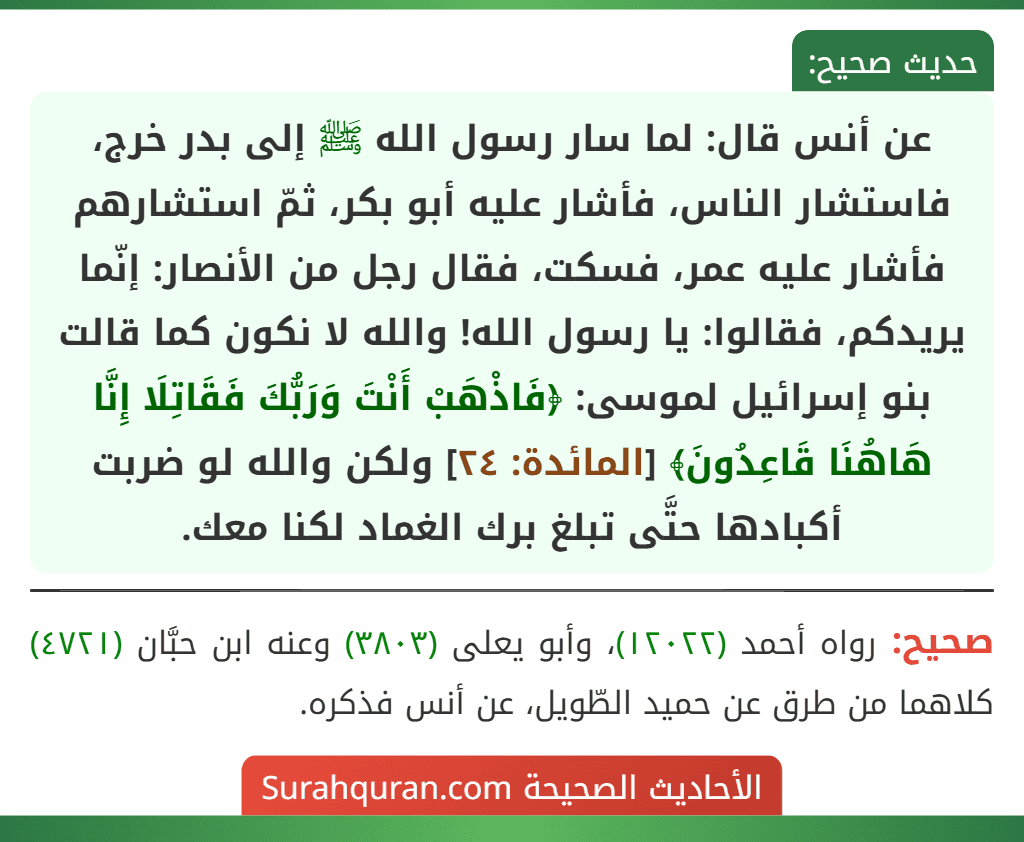 عن أنس قال: لما سار رسول الله ﷺ إلى بدر خرج، فاستشار الناس، فأشار عليه أبو بكر، ثمّ استشارهم فأشار عليه عمر، فسكت، فقال رجل من الأنصار: إنّما يريدكم، فقالوا: يا رسول الله! والله لا نكون كما قالت بنو إسرائيل لموسى: ﴿فَاذْهَبْ أَنْتَ وَرَبُّكَ فَقَاتِلَا إِنَّا هَاهُنَا قَاعِدُونَ﴾ [المائدة: ٢٤] ولكن والله لو ضربت أكبادها حتَّى تبلغ برك الغماد لكنا معك.