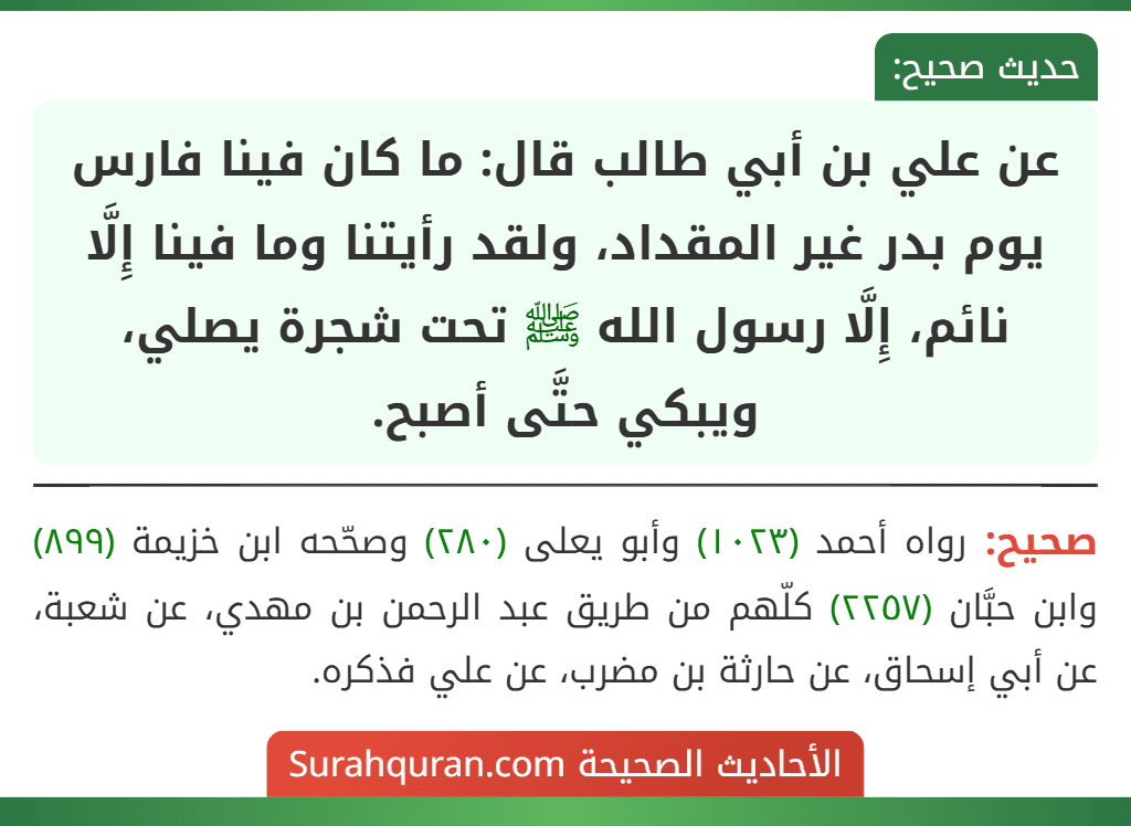 عن علي بن أبي طالب قال: ما كان فينا فارس يوم بدر غير المقداد، ولقد رأيتنا وما فينا إِلَّا نائم، إِلَّا رسول الله ﷺ تحت شجرة يصلي، ويبكي حتَّى أصبح.