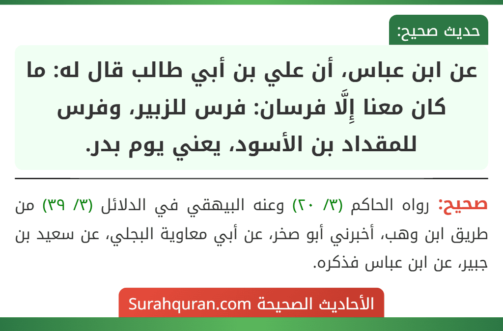 عن ابن عباس، أن علي بن أبي طالب قال له: ما كان معنا إِلَّا فرسان: فرس للزبير، وفرس للمقداد بن الأسود، يعني يوم بدر.
