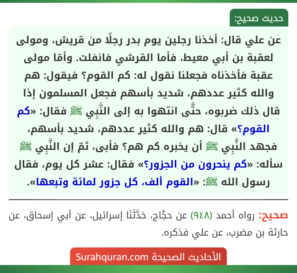 عن علي قال: أخذنا رجلين يوم بدر رجلًا من قريش، ومولى لعقبة بن أبي معيط، فأما القرشي فانفلت. وأمّا مولى عقبة فأخذناه فجعلنا نقول له: كم القوم؟ فيقول: هم والله كثير عددهم، شديد بأسهم فجعل المسلمون إذا قال ذلك ضربوه، حتَّى انتهوا به إلى النَّبِي ﷺ فقال: «كم القوم؟» قال: هم والله كثير عددهم، شديد بأسهم، فجهد النَّبِي ﷺ أن يخبره كم هم؟ فأبى، ثمّ إن النَّبِي ﷺ سأله: «كم ينحرون من الجزور؟» فقال: عشر كل يوم، فقال رسول الله ﷺ: «القوم ألف، كل جزور لمائة وتبعها». عن علي قال: أخذنا رجلين يوم بدر رجلًا من قريش، ومولى لعقبة بن أبي معيط، فأما القرشي فانفلت. وأمّا مولى عقبة فأخذناه فجعلنا نقول له: كم القوم؟ فيقول: هم والله كثير عددهم، شديد بأسهم فجعل المسلمون إذا قال ذلك ضربوه، حتَّى انتهوا به إلى النَّبِي ﷺ فقال: «كم القوم؟» قال: هم والله كثير عددهم، شديد بأسهم، فجهد النَّبِي ﷺ أن يخبره كم هم؟ فأبى، ثمّ إن النَّبِي ﷺ سأله: «كم ينحرون من الجزور؟» فقال: عشر كل يوم، فقال رسول الله ﷺ: «القوم ألف، كل جزور لمائة وتبعها».