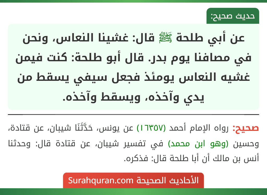 عن أبي طلحة ﷺ قال: غشينا النعاس، ونحن في مصافنا يوم بدر. قال أبو طلحة: كنت فيمن غشيه النعاس يومئذ فجعل سيفي يسقط من يدي وآخذه، ويسقط وآخذه.