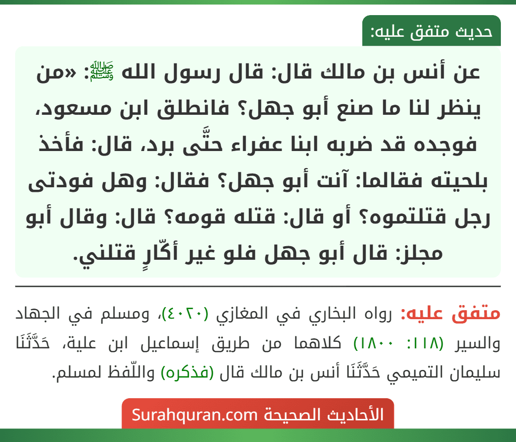 عن أنس بن مالك قال: قال رسول الله ﷺ: «من ينظر لنا ما صنع أبو جهل؟ فانطلق ابن مسعود، فوجده قد ضربه ابنا عفراء حتَّى برد، قال: فأخذ بلحيته فقالما: آنت أبو جهل؟ فقال: وهل فودتى رجل قتلتموه؟ أو قال: قتله قومه؟ قال: وقال أبو مجلز: قال أبو جهل فلو غير أكّارٍ قتلني. عن أنس بن مالك قال: قال رسول الله ﷺ: «من ينظر لنا ما صنع أبو جهل؟ فانطلق ابن مسعود، فوجده قد ضربه ابنا عفراء حتَّى برد، قال: فأخذ بلحيته فقالما: آنت أبو جهل؟ فقال: وهل فودتى رجل قتلتموه؟ أو قال: قتله قومه؟ قال: وقال أبو مجلز: قال أبو جهل فلو غير أكّارٍ قتلني.