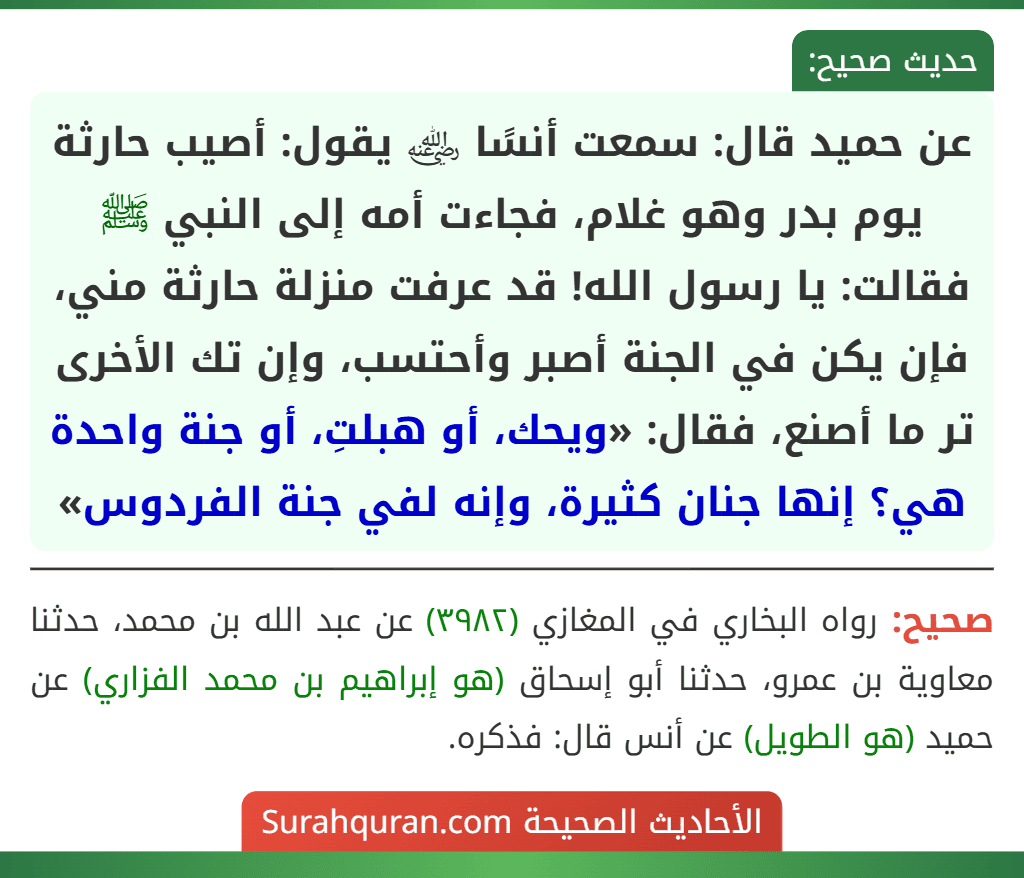 عن حميد قال: سمعت أنسًا ﵁ يقول: أصيب حارثة يوم بدر وهو غلام، فجاءت أمه إلى النبي ﷺ فقالت: يا رسول الله! قد عرفت منزلة حارثة مني، فإن يكن في الجنة أصبر وأحتسب، وإن تك الأخرى تر ما أصنع، فقال: «ويحك، أو هبلتِ، أو جنة واحدة هي؟ إنها جنان كثيرة، وإنه لفي جنة الفردوس»
