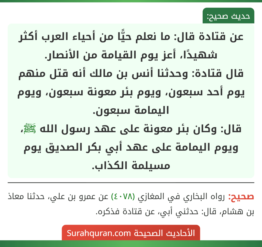 عن قتادة قال: ما نعلم حيًّا من أحياء العرب أكثر شهيدًا، أعز يوم القيامة من الأنصار.
قال قتادة: وحدثنا أنس بن مالك أنه قتل منهم يوم أحد سبعون، ويوم بئر معونة سبعون، ويوم اليمامة سبعون.
قال: وكان بئر معونة على عهد رسول الله ﷺ، ويوم اليمامة على عهد أبي بكر الصديق يوم مسيلمة الكذاب.