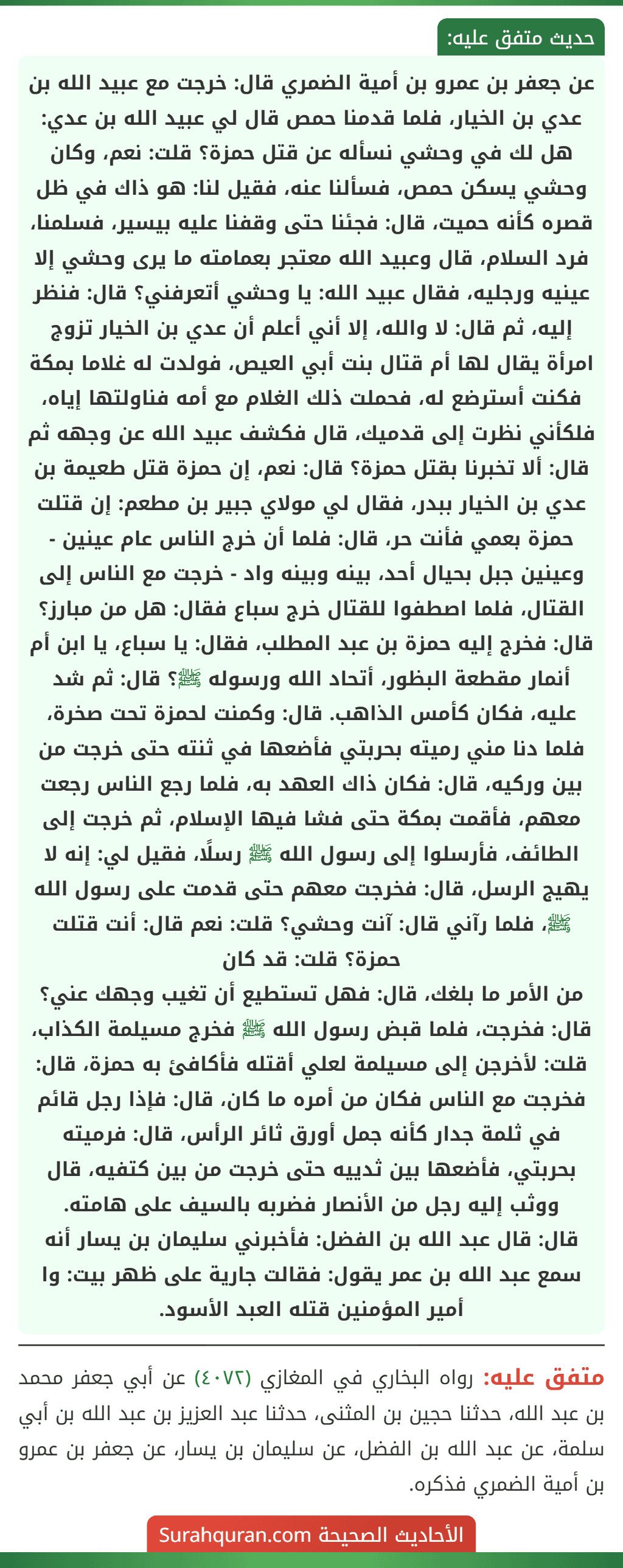 عن جعفر بن عمرو بن أمية الضمري قال: خرجت مع عبيد الله بن عدي بن الخيار، فلما قدمنا حمص قال لي عبيد الله بن عدي: هل لك في وحشي نسأله عن قتل حمزة؟ قلت: نعم، وكان وحشي يسكن حمص، فسألنا عنه، فقيل لنا: هو ذاك في ظل قصره كأنه حميت، قال: فجئنا حتى وقفنا عليه بيسير، فسلمنا، فرد السلام، قال وعبيد الله معتجر بعمامته ما يرى وحشي إلا عينيه ورجليه، فقال عبيد الله: يا وحشي أتعرفني؟ قال: فنظر إليه، ثم قال: لا والله، إلا أني أعلم أن عدي بن الخيار تزوج امرأة يقال لها أم قتال بنت أبي العيص، فولدت له غلاما بمكة فكنت أسترضع له، فحملت ذلك الغلام مع أمه فناولتها إياه، فلكأني نظرت إلى قدميك، قال فكشف عبيد الله عن وجهه ثم قال: ألا تخبرنا بقتل حمزة؟ قال: نعم، إن حمزة قتل طعيمة بن عدي بن الخيار ببدر، فقال لي مولاي جبير بن مطعم: إن قتلت حمزة بعمي فأنت حر، قال: فلما أن خرج الناس عام عينين - وعينين جبل بحيال أحد، بينه وبينه واد - خرجت مع الناس إلى القتال، فلما اصطفوا للقتال خرج سباع فقال: هل من مبارز؟ قال: فخرج إليه حمزة بن عبد المطلب، فقال: يا سباع، يا ابن أم أنمار مقطعة البظور، أتحاد الله ورسوله ﷺ؟ قال: ثم شد عليه، فكان كأمس الذاهب. قال: وكمنت لحمزة تحت صخرة، فلما دنا مني رميته بحربتي فأضعها في ثنته حتى خرجت من بين وركيه، قال: فكان ذاك العهد به، فلما رجع الناس رجعت معهم، فأقمت بمكة حتى فشا فيها الإسلام، ثم خرجت إلى الطائف، فأرسلوا إلى رسول الله ﷺ رسلًا، فقيل لي: إنه لا يهيج الرسل، قال: فخرجت معهم حتى قدمت على رسول الله ﷺ، فلما رآني قال: آنت وحشي؟ قلت: نعم قال: أنت قتلت حمزة؟ قلت: قد كان
من الأمر ما بلغك، قال: فهل تستطيع أن تغيب وجهك عني؟ قال: فخرجت، فلما قبض رسول الله ﷺ فخرج مسيلمة الكذاب، قلت: لأخرجن إلى مسيلمة لعلي أقتله فأكافئ به حمزة، قال: فخرجت مع الناس فكان من أمره ما كان، قال: فإذا رجل قائم في ثلمة جدار كأنه جمل أورق ثائر الرأس، قال: فرميته بحربتي، فأضعها بين ثدييه حتى خرجت من بين كتفيه، قال ووثب إليه رجل من الأنصار فضربه بالسيف على هامته.
قال: قال عبد الله بن الفضل: فأخبرني سليمان بن يسار أنه سمع عبد الله بن عمر يقول: فقالت جارية على ظهر بيت: وا أمير المؤمنين قتله العبد الأسود.