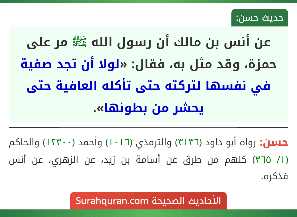 عن أنس بن مالك أن رسول الله ﷺ مر على حمزة، وقد مثل به، فقال: «لولا أن تجد صفية في نفسها لتركته حتى تأكله العافية حتى يحشر من بطونها».