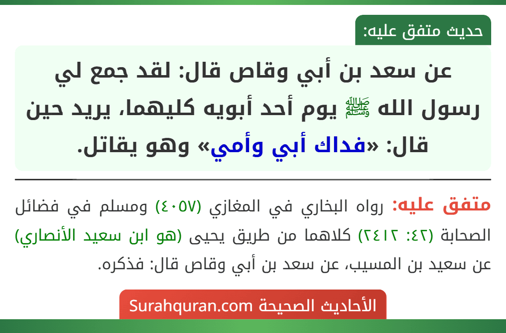 عن سعد بن أبي وقاص قال: لقد جمع لي رسول الله ﷺ يوم أحد أبويه كليهما، يريد حين قال: «فداك أبي وأمي» وهو يقاتل.
