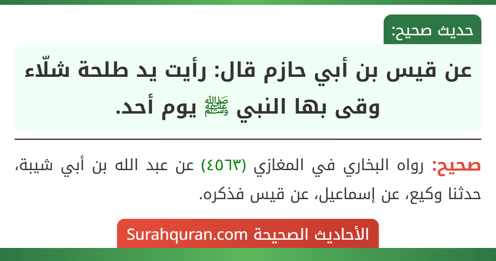 عن قيس بن أبي حازم قال: رأيت يد طلحة شلّاء وقى بها النبي ﷺ يوم أحد.