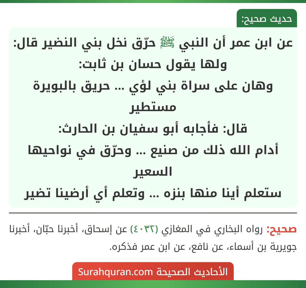 عن ابن عمر أن النبي ﷺ حرّق نخل بني النضير قال: ولها يقول حسان بن ثابت:
وهان على سراة بني لؤي ... حريق بالبويرة مستطير
قال: فأجابه أبو سفيان بن الحارث:
أدام الله ذلك من صنيع ... وحرّق في نواحيها السعير
ستعلم أينا منها بنزه ... وتعلم أي أرضينا تضير