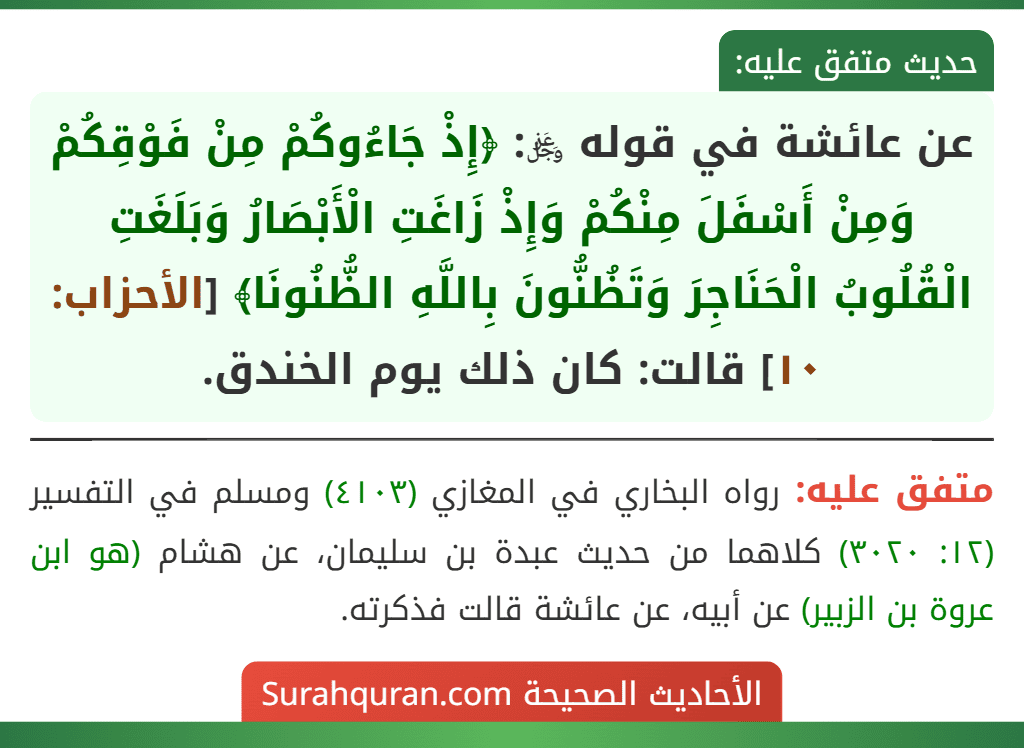 عن عائشة في قوله ﷿: ﴿إِذْ جَاءُوكُمْ مِنْ فَوْقِكُمْ وَمِنْ أَسْفَلَ مِنْكُمْ وَإِذْ زَاغَتِ الْأَبْصَارُ وَبَلَغَتِ الْقُلُوبُ الْحَنَاجِرَ وَتَظُنُّونَ بِاللَّهِ الظُّنُونَا﴾ [الأحزاب: ١٠] قالت: كان ذلك يوم الخندق.