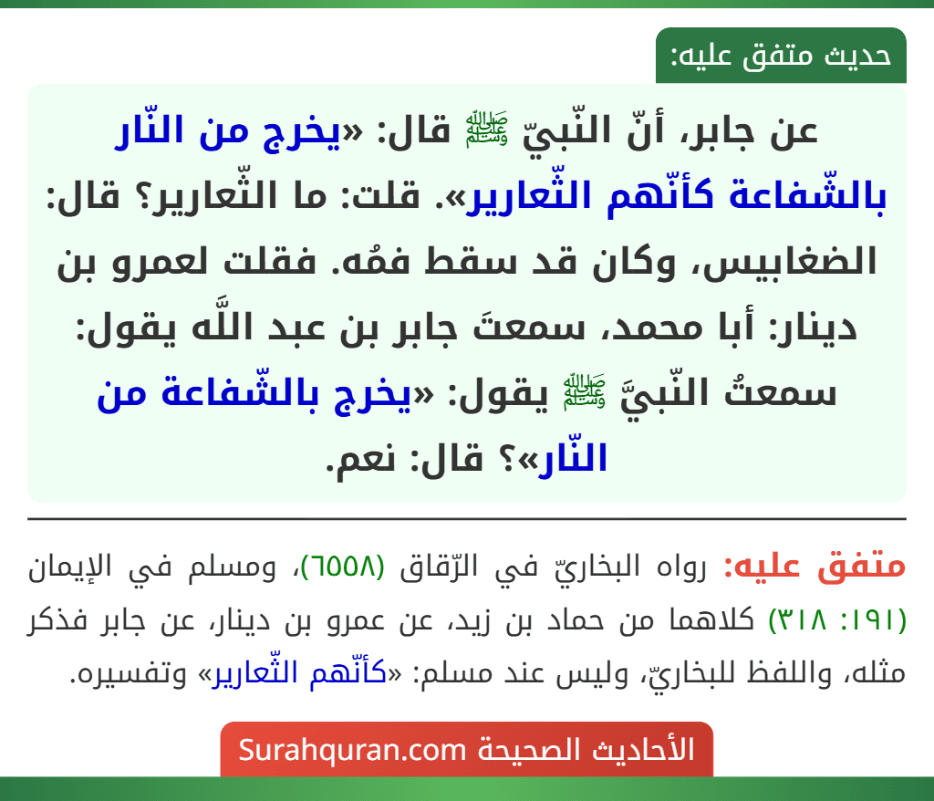عن جابر، أنّ النّبيّ ﷺ قال: «يخرج من النّار بالشّفاعة كأنّهم الثّعارير». قلت: ما الثّعارير؟ قال: الضغابيس، وكان قد سقط فمُه. فقلت لعمرو بن دينار: أبا محمد، سمعتَ جابر بن عبد اللَّه يقول: سمعتُ النّبيَّ ﷺ يقول: «يخرج بالشّفاعة من النّار»؟ قال: نعم.