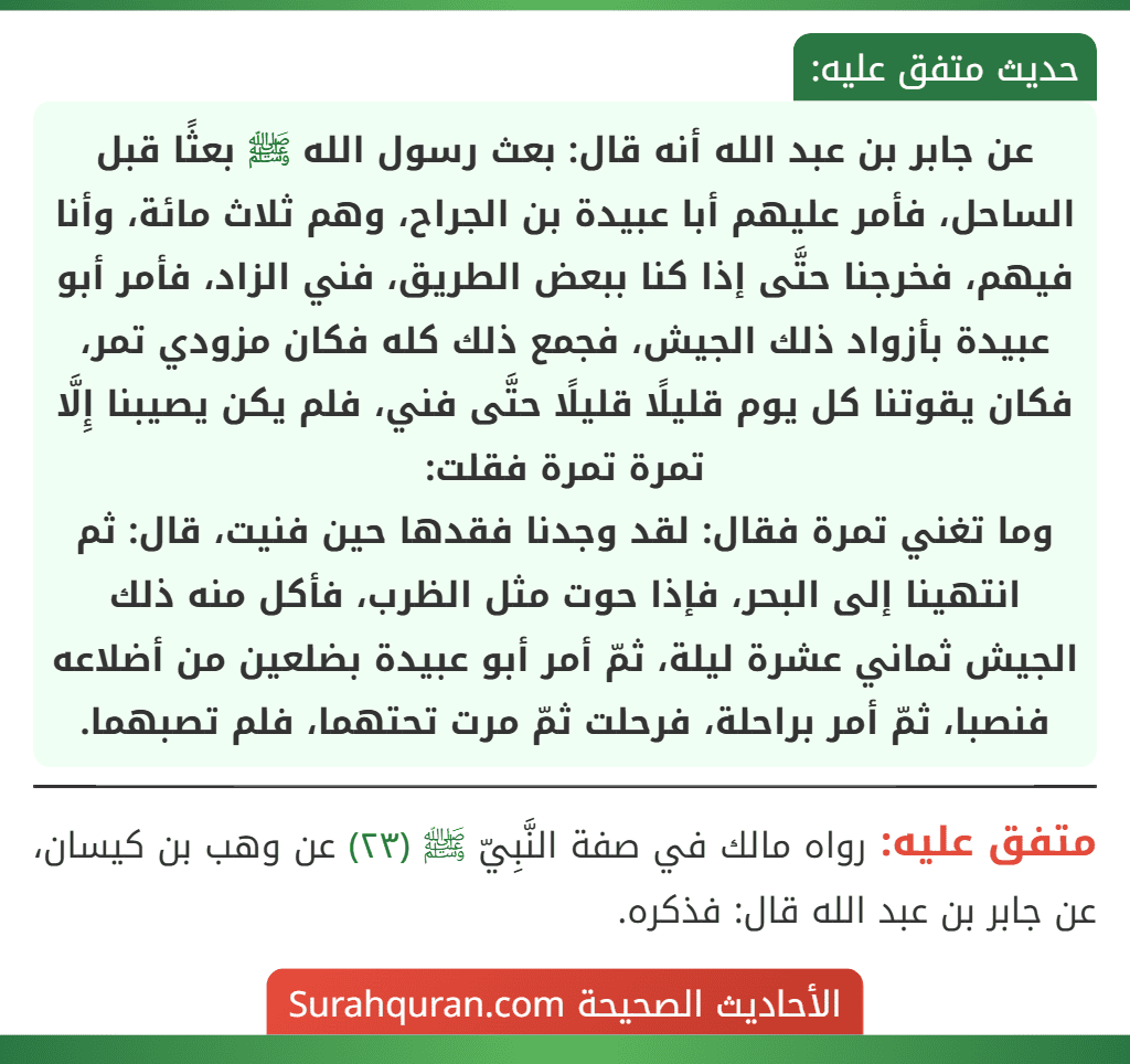 عن جابر بن عبد الله أنه قال: بعث رسول الله ﷺ بعثًا قبل الساحل، فأمر عليهم أبا عبيدة بن الجراح، وهم ثلاث مائة، وأنا فيهم، فخرجنا حتَّى إذا كنا ببعض الطريق، فني الزاد، فأمر أبو عبيدة بأزواد ذلك الجيش، فجمع ذلك كله فكان مزودي تمر، فكان يقوتنا كل يوم قليلًا قليلًا حتَّى فني، فلم يكن يصيبنا إِلَّا تمرة تمرة فقلت:
وما تغني تمرة فقال: لقد وجدنا فقدها حين فنيت، قال: ثم انتهينا إلى البحر، فإذا حوت مثل الظرب، فأكل منه ذلك الجيش ثماني عشرة ليلة، ثمّ أمر أبو عبيدة بضلعين من أضلاعه فنصبا، ثمّ أمر براحلة، فرحلت ثمّ مرت تحتهما، فلم تصبهما.