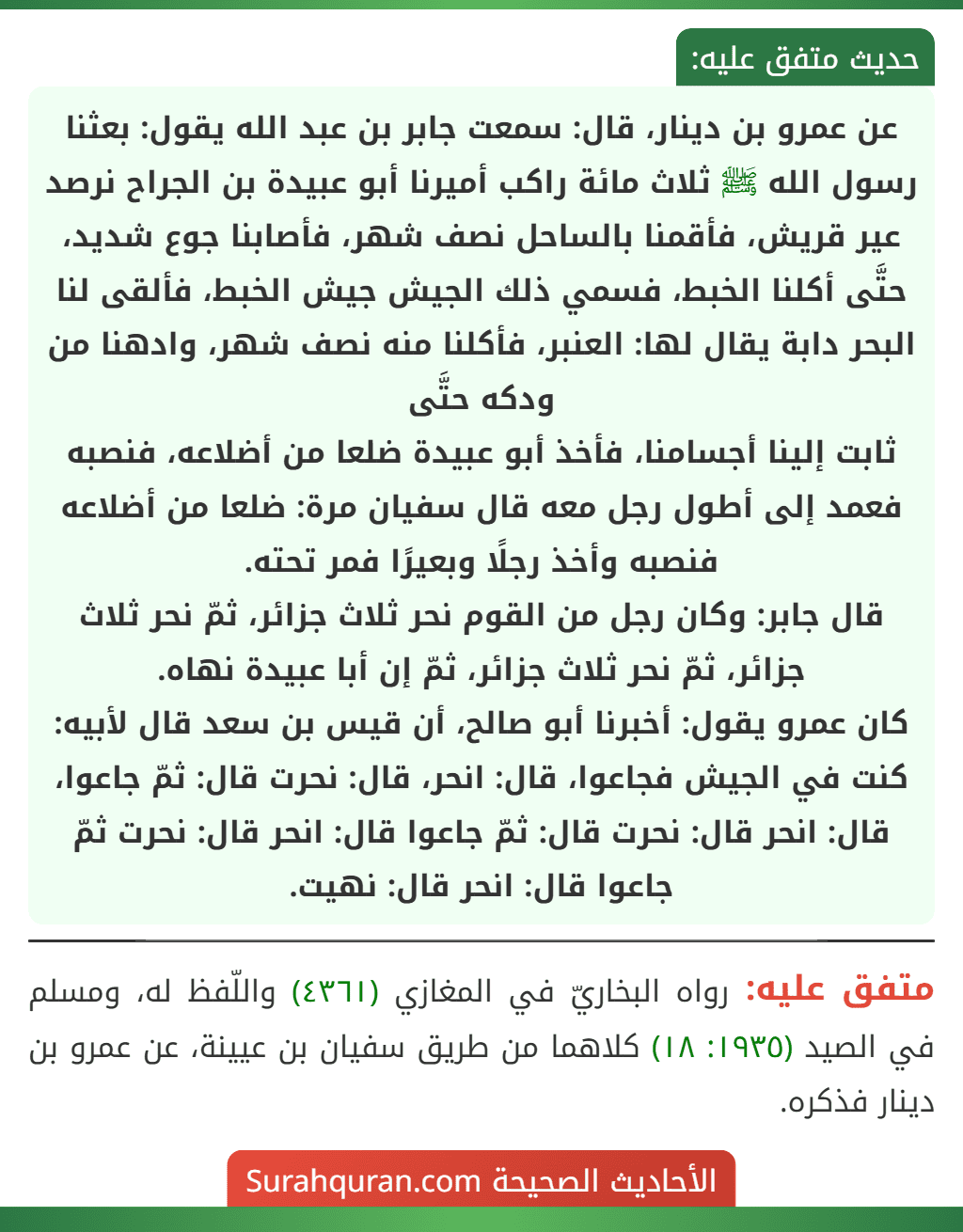 عن عمرو بن دينار، قال: سمعت جابر بن عبد الله يقول: بعثنا رسول الله ﷺ ثلاث مائة راكب أميرنا أبو عبيدة بن الجراح نرصد عير قريش، فأقمنا بالساحل نصف شهر، فأصابنا جوع شديد، حتَّى أكلنا الخبط، فسمي ذلك الجيش جيش الخبط، فألقى لنا البحر دابة يقال لها: العنبر، فأكلنا منه نصف شهر، وادهنا من ودكه حتَّى
ثابت إلينا أجسامنا، فأخذ أبو عبيدة ضلعا من أضلاعه، فنصبه فعمد إلى أطول رجل معه قال سفيان مرة: ضلعا من أضلاعه فنصبه وأخذ رجلًا وبعيرًا فمر تحته.
قال جابر: وكان رجل من القوم نحر ثلاث جزائر، ثمّ نحر ثلاث جزائر، ثمّ نحر ثلاث جزائر، ثمّ إن أبا عبيدة نهاه.
كان عمرو يقول: أخبرنا أبو صالح، أن قيس بن سعد قال لأبيه: كنت في الجيش فجاعوا، قال: انحر، قال: نحرت قال: ثمّ جاعوا، قال: انحر قال: نحرت قال: ثمّ جاعوا قال: انحر قال: نحرت ثمّ جاعوا قال: انحر قال: نهيت.