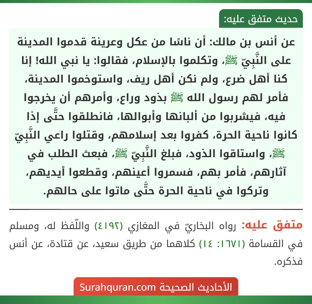 عن أنس بن مالك: أن ناسًا من عكل وعرينة قدموا المدينة على النَّبِيّ ﷺ، وتكلموا بالإسلام، فقالوا: يا نبي الله! إنا كنا أهل ضرع، ولم نكن أهل ريف، واستوخموا المدينة، فأمر لهم رسول الله ﷺ بذود وراع، وأمرهم أن يخرجوا فيه، فيشربوا من ألبانها وأبوالها، فانطلقوا حتَّى إذا كانوا ناحية الحرة، كفروا بعد إسلامهم، وقتلوا راعي النَّبِيّ ﷺ، واستاقوا الذود، فبلغ النَّبِيّ ﷺ، فبعث الطلب في آثارهم، فأمر بهم، فسمروا أعينهم، وقطعوا أيديهم، وتركوا في ناحية الحرة حتَّى ماتوا على حالهم.