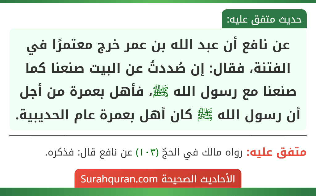 عن نافع أن عبد الله بن عمر خرج معتمرًا في الفتنة، فقال: إن صُددتُ عن البيت صنعنا كما صنعنا مع رسول الله ﷺ، فأهل بعمرة من أجل أن رسول الله ﷺ كان أهل بعمرة عام الحديبية.