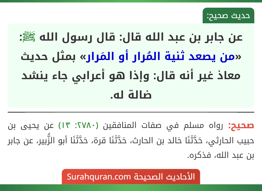 عن جابر بن عبد الله قال: قال رسول الله ﷺ: «من يصعد ثنية المُرار أو المَرار» بمثل حديث معاذ غير أنه قال: وإذا هو أعرابي جاء ينشد ضالة له. عن جابر بن عبد الله قال: قال رسول الله ﷺ: «من يصعد ثنية المُرار أو المَرار» بمثل حديث معاذ غير أنه قال: وإذا هو أعرابي جاء ينشد ضالة له.