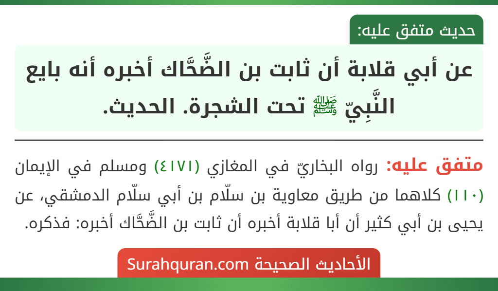 عن أبي قلابة أن ثابت بن الضَّحَّاك أخبره أنه بايع النَّبِيّ ﷺ تحت الشجرة. الحديث.