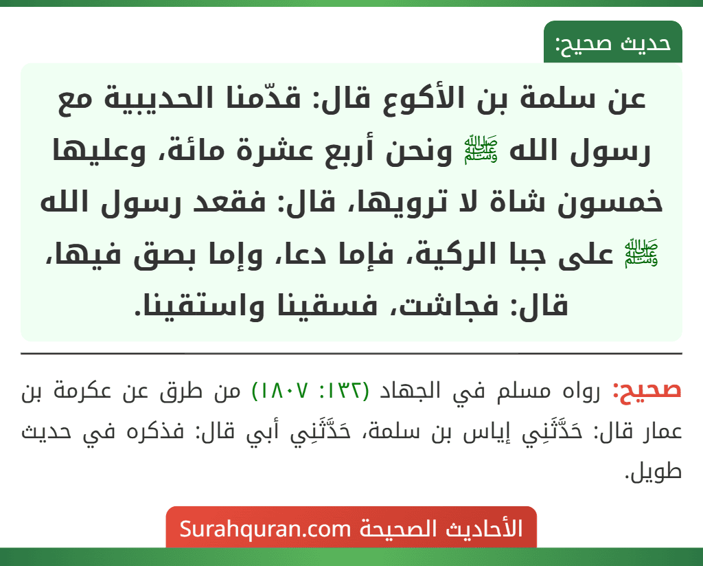 عن سلمة بن الأكوع قال: قدّمنا الحديبية مع رسول الله ﷺ ونحن أربع عشرة مائة، وعليها خمسون شاة لا ترويها، قال: فقعد رسول الله ﷺ على جبا الركية، فإما دعا، وإما بصق فيها، قال: فجاشت، فسقينا واستقينا.