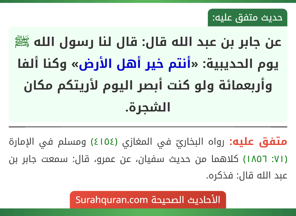 عن جابر بن عبد الله قال: قال لنا رسول الله ﷺ يوم الحديبية: «أنتم خير أهل الأرض» وكنا ألفا وأربعمائة ولو كنت أبصر اليوم لأريتكم مكان الشجرة.