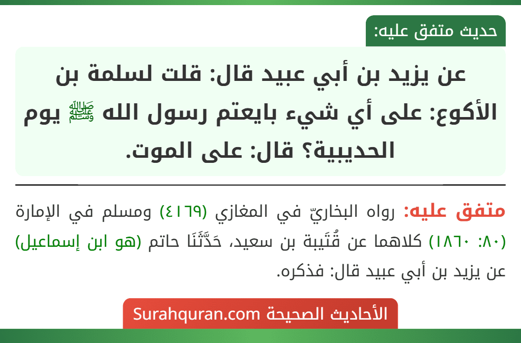 عن يزيد بن أبي عبيد قال: قلت لسلمة بن الأكوع: على أي شيء بايعتم رسول الله ﷺ يوم الحديبية؟ قال: على الموت.