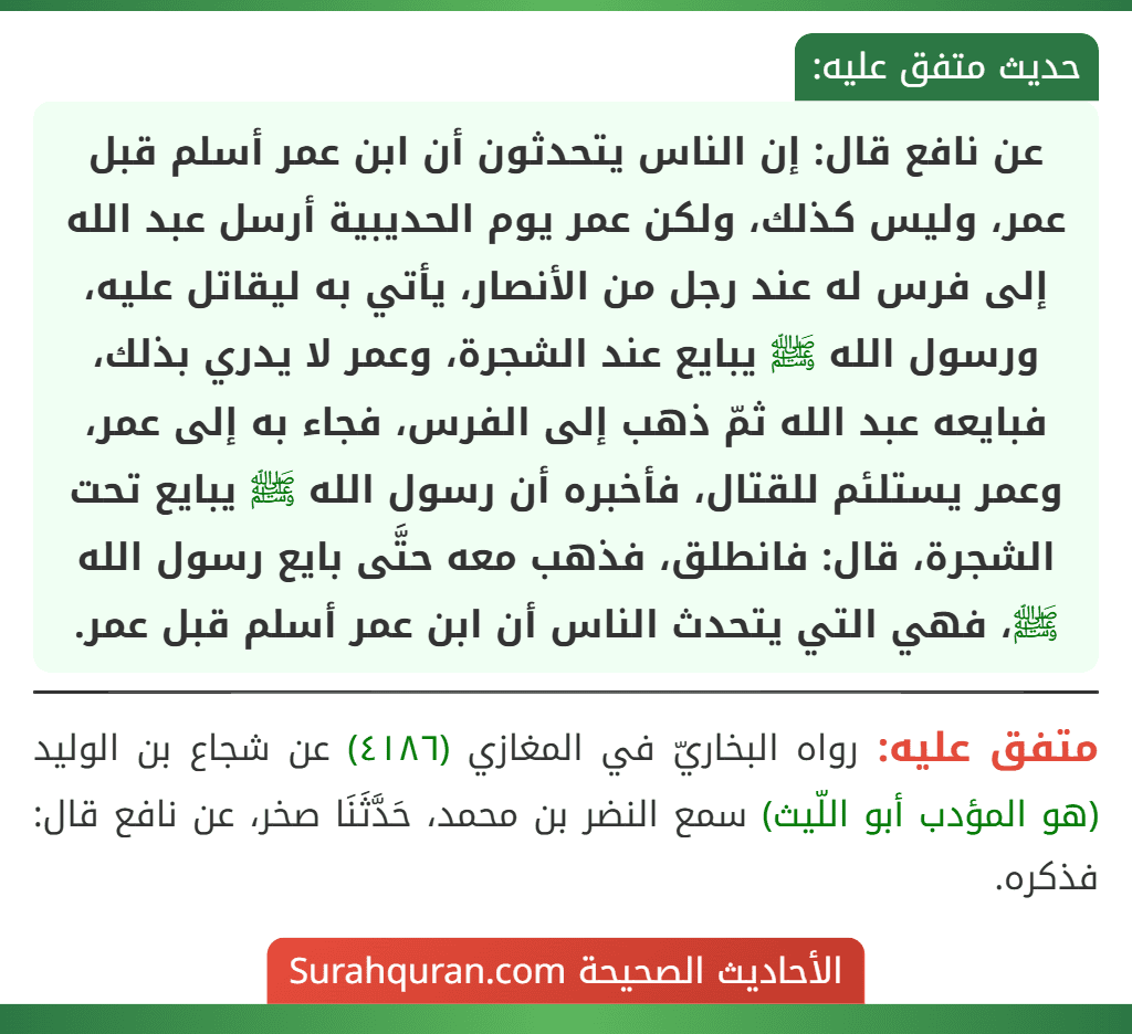 عن نافع قال: إن الناس يتحدثون أن ابن عمر أسلم قبل عمر، وليس كذلك، ولكن عمر يوم الحديبية أرسل عبد الله إلى فرس له عند رجل من الأنصار، يأتي به ليقاتل عليه، ورسول الله ﷺ يبايع عند الشجرة، وعمر لا يدري بذلك، فبايعه عبد الله ثمّ ذهب إلى الفرس، فجاء به إلى عمر، وعمر يستلئم للقتال، فأخبره أن رسول الله ﷺ يبايع تحت الشجرة، قال: فانطلق، فذهب معه حتَّى بايع رسول الله ﷺ، فهي التي يتحدث الناس أن ابن عمر أسلم قبل عمر. عن نافع قال: إن الناس يتحدثون أن ابن عمر أسلم قبل عمر، وليس كذلك، ولكن عمر يوم الحديبية أرسل عبد الله إلى فرس له عند رجل من الأنصار، يأتي به ليقاتل عليه، ورسول الله ﷺ يبايع عند الشجرة، وعمر لا يدري بذلك، فبايعه عبد الله ثمّ ذهب إلى الفرس، فجاء به إلى عمر، وعمر يستلئم للقتال، فأخبره أن رسول الله ﷺ يبايع تحت الشجرة، قال: فانطلق، فذهب معه حتَّى بايع رسول الله ﷺ، فهي التي يتحدث الناس أن ابن عمر أسلم قبل عمر.