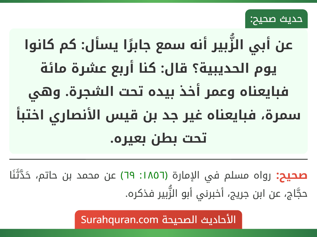 عن أبي الزُّبير أنه سمع جابرًا يسأل: كم كانوا يوم الحديبية؟ قال: كنا أربع عشرة مائة فبايعناه وعمر أخذ بيده تحت الشجرة. وهي سمرة، فبايعناه غير جد بن قيس الأنصاري اختبأ تحت بطن بعيره.