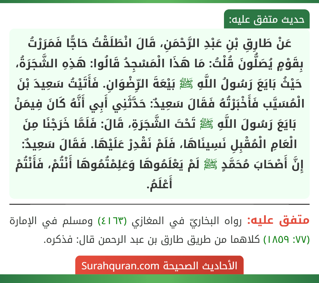عَنْ طَارِقِ بْنِ عَبْدِ الرَّحْمَنِ، قَالَ انْطَلَقْتُ حَاجًّا فَمَرَرْتُ بِقَوْمٍ يُصَلُّونَ قُلْتُ: مَا هَذَا الْمَسْجِدُ قَالُوا: هَذِهِ الشَّجَرَةُ، حَيْثُ بَايَعَ رَسُولُ اللَّهِ ﷺ بَيْعَةَ الرِّضْوَانِ. فَأَتَيْتُ سَعِيدَ بْنَ الْمُسَيَّب فَأَخْبَرْتُهُ فَقَالَ سَعِيدٌ: حَدَّثَنِي أَبِي أَنَّهُ كَانَ فِيمَنْ بَايَعَ رَسُولَ اللَّهِ ﷺ تَحْتَ الشَّجَرَةِ، قَالَ: فَلَمَّا خَرَجْنَا مِنَ الْعَامِ الْمُقْبِلِ نَسِينَاهَا، فَلَمْ نَقْدِرْ عَلَيْهَا. فَقَالَ سَعِيدٌ: إِنَّ أَصْحَابَ مُحَمَّدٍ ﷺ لَمْ يَعْلَمُوهَا وَعَلِمْتُمُوهَا أَنْتُمْ، فَأَنْتُمْ أَعْلَمُ.