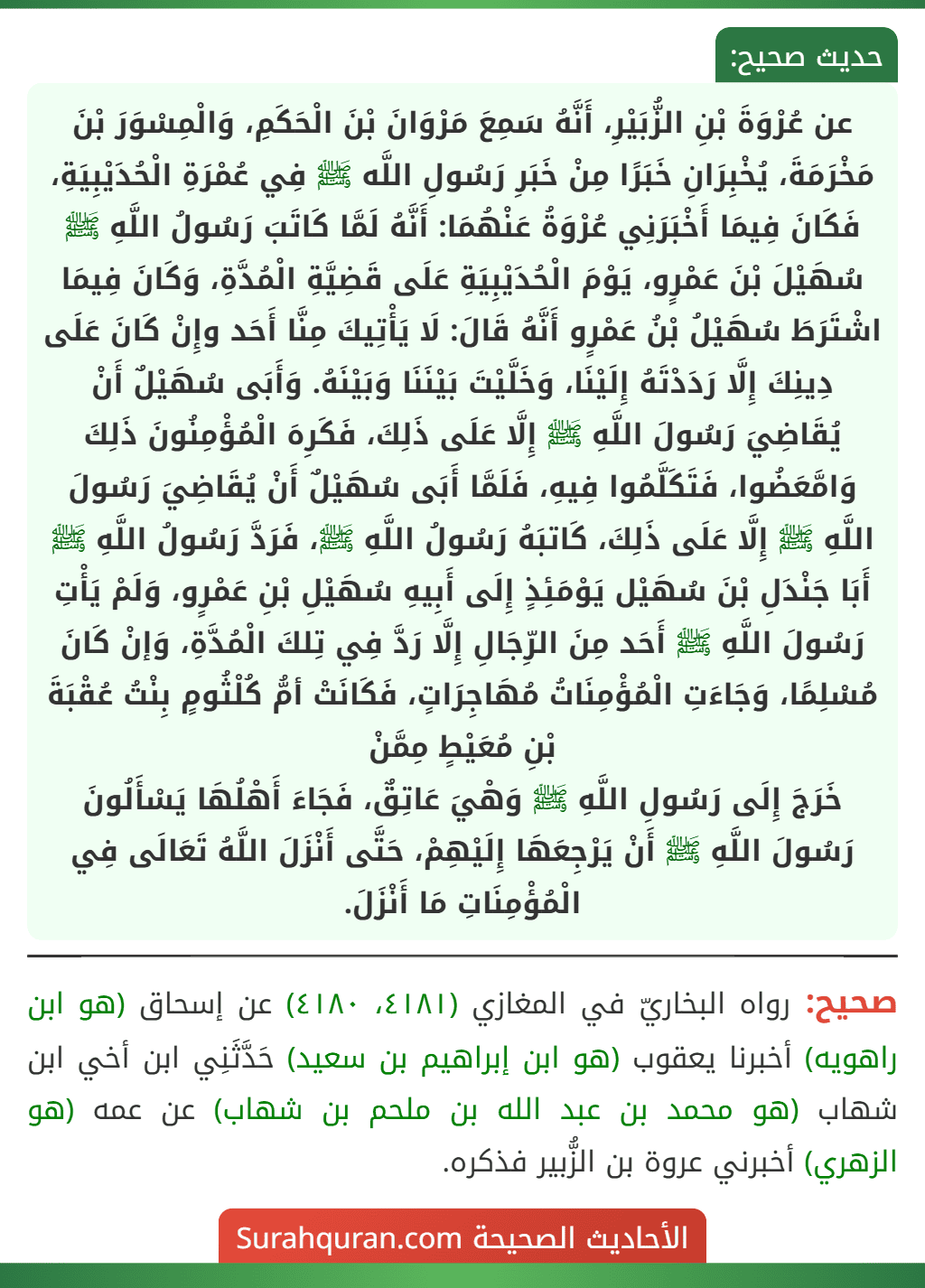 عن عُرْوَةَ بْنِ الزُّبَيْرِ، أَنَّهُ سَمِعَ مَرْوَانَ بْنَ الْحَكَمِ، وَالْمِسْوَرَ بْنَ مَخْرَمَةَ، يُخْبِرَانِ خَبَرًا مِنْ خَبَرِ رَسُولِ اللَّه ﷺ فِي عُمْرَةِ الْحُدَيْبِيَةِ، فَكَانَ فِيمَا أَخْبَرَنِي عُرْوَةُ عَنْهُمَا: أَنَّهُ لَمَّا كَاتَبَ رَسُولُ اللَّهِ ﷺ سُهَيْلَ بْنَ عَمْرٍو، يَوْمَ الْحُدَيْبِيَةِ عَلَى قَضِيَّةِ الْمُدَّةِ، وَكَانَ فِيمَا اشْتَرَطَ سُهَيْلُ بْنُ عَمْرٍو أَنَّهُ قَالَ: لَا يَأْتِيكَ مِنَّا أَحَد وإِنْ كَانَ عَلَى دِينِكَ إِلَّا رَدَدْتَهُ إِلَيْنَا، وَخَلَّيْتَ بَيْنَنَا وَبَيْنَهُ. وَأَبَى سُهَيْلٌ أَنْ يُقَاضِيَ رَسُولَ اللَّهِ ﷺ إِلَّا عَلَى ذَلِكَ، فَكَرِهَ الْمُؤْمِنُونَ ذَلِكَ وَامَّعَضُوا، فَتَكَلَّمُوا فِيهِ، فَلَمَّا أَبَى سُهَيْلٌ أَنْ يُقَاضِيَ رَسُولَ اللَّهِ ﷺ إِلَّا عَلَى ذَلِكَ، كَاتبَهُ رَسُولُ اللَّهِ ﷺ، فَرَدَّ رَسُولُ اللَّهِ ﷺ أَبَا جَنْدَلِ بْنَ سُهَيْل يَوْمَئِذٍ إِلَى أَبِيهِ سُهَيْلِ بْنِ عَمْرٍو، وَلَمْ يَأْتِ رَسُولَ اللَّهِ ﷺ أَحَد مِنَ الرِّجَالِ إِلَّا رَدَّ فِي تِلكَ الْمُدَّةِ، وَإنْ كَانَ مُسْلِمًا، وَجَاءَتِ الْمُؤْمِنَاتُ مُهَاجِرَاتٍ، فَكَانَتْ أمُّ كُلْثُومٍ بِنْتُ عُقْبَةَ بْنِ مُعَيْطٍ مِمَّنْ
خَرَجَ إِلَى رَسُولِ اللَّهِ ﷺ وَهْيَ عَاتِقٌ، فَجَاءَ أَهْلُهَا يَسْأَلُونَ رَسُولَ اللَّهِ ﷺ أَنْ يَرْجِعَهَا إِلَيْهِمْ، حَتَّى أَنْزَلَ اللَّهُ تَعَالَى فِي الْمُؤْمِنَاتِ مَا أَنْزَلَ.