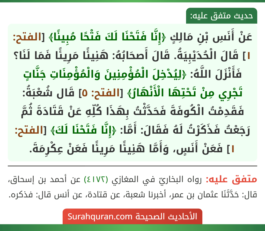 عَنْ أَنَسِ بْنِ مَالِكٍ ﴿إِنَّا فَتَحْنَا لَكَ فَتْحًا مُبِينًا﴾ [الفتح: ١] قَالَ الْحُدَيْبِيَةُ. قَالَ أَصحَابُهُ: هَنِيئًا مَرِيئًا فَمَا لَنَا؟ فَأَنْزَلَ اللَّهُ: ﴿لِيُدْخِلَ الْمُؤْمِنِينَ وَالْمُؤْمِنَاتِ جَنَّاتٍ تَجْرِي مِنْ تَحْتِهَا الْأَنْهَارُ﴾ [الفتح: ٥] قَال شُعْبَةُ: فَقَدِمْتُ الْكُوفَةَ فَحَدَّثْتُ بِهَذَا كُلِّهِ عَنْ قَتَادَةَ ثُمَّ رَجَعْتُ فَذَكَرْتُ لَهُ فَقَالَ: أَمَّا: ﴿إِنَّا فَتَحْنَا لَكَ﴾ [الفتح: ١] فَعَنْ أَنَسٍ، وَأَمَّا هَنِيئًا مَرِيئًا فَعَنْ عِكْرِمَةَ.