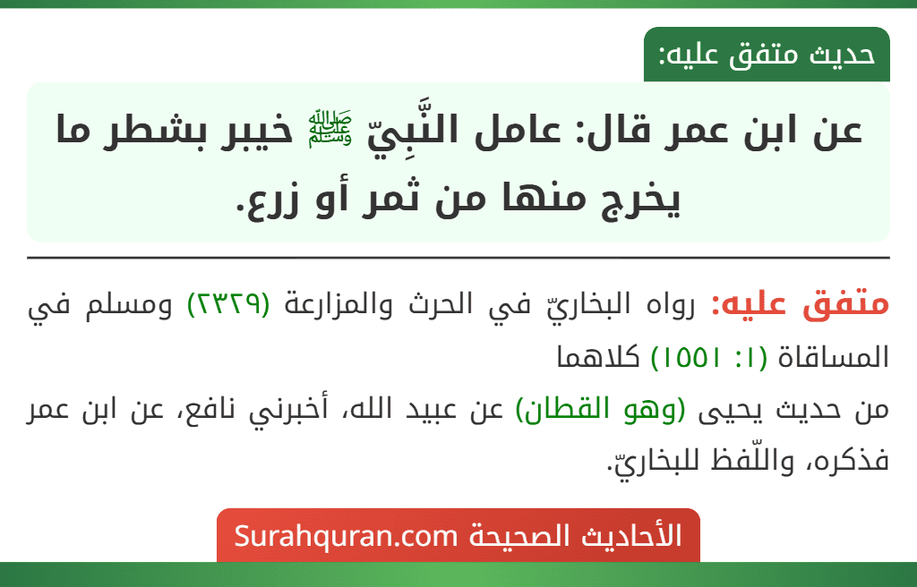 عن ابن عمر قال: عامل النَّبِيّ ﷺ خيبر بشطر ما يخرج منها من ثمر أو زرع. عن ابن عمر قال: عامل النَّبِيّ ﷺ خيبر بشطر ما يخرج منها من ثمر أو زرع.