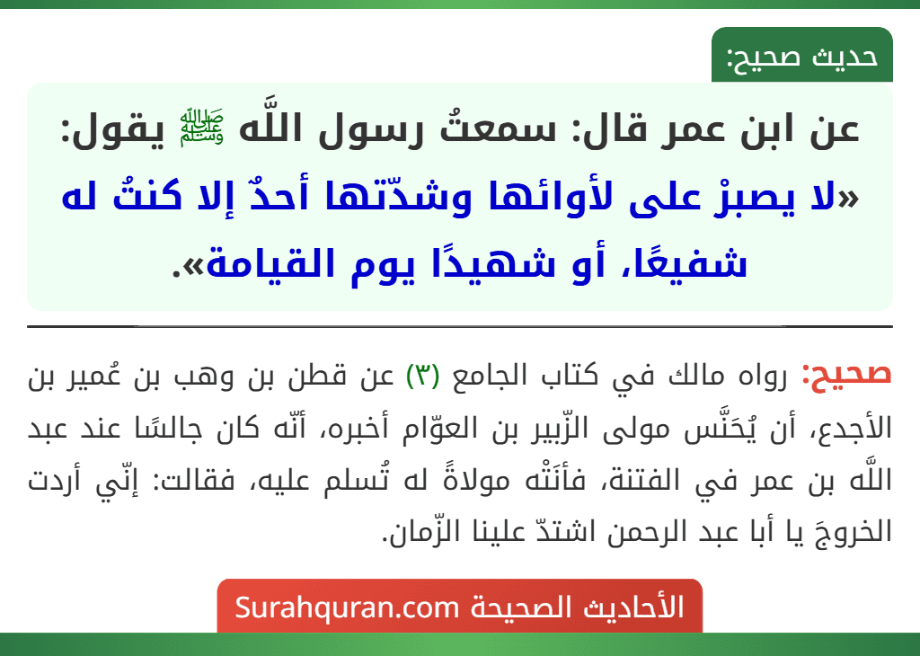 عن ابن عمر قال: سمعتُ رسول اللَّه ﷺ يقول: «لا يصبرْ على لأوائها وشدّتها أحدٌ إلا كنتُ له شفيعًا، أو شهيدًا يوم القيامة».