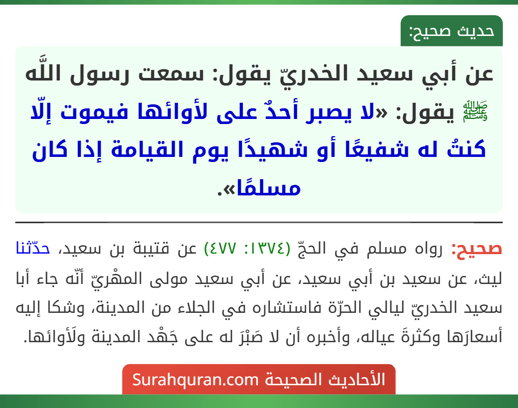 عن أبي سعيد الخدريّ يقول: سمعت رسول اللَّه ﷺ يقول: «لا يصبر أحدٌ على لأوائها فيموت إلّا كنتُ له شفيعًا أو شهيدًا يوم القيامة إذا كان مسلمًا».