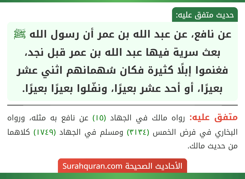 عن نافع، عن عبد الله بن عمر أن رسول الله ﷺ بعث سرية فيها عبد الله بن عمر قبل نجد، فغنموا إبلًا كثيرة فكان سُهمانهم اثني عشر بعيرًا، أو أحد عشر بعيرًا، ونفّلوا بعيرًا بعيرًا.