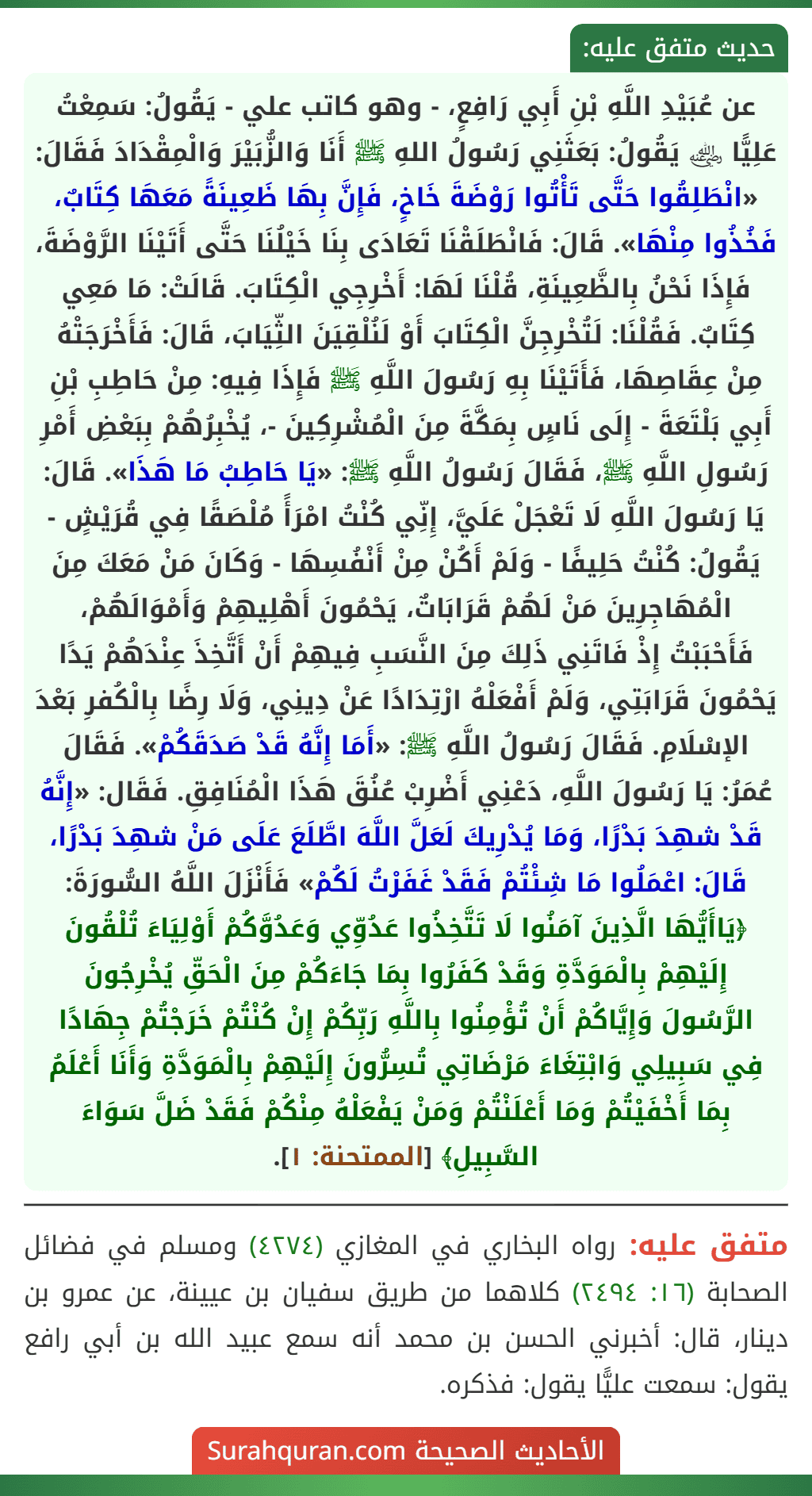 عن عُبَيْدِ اللَّهِ بْنِ أَبِي رَافِعٍ، - وهو كاتب علي - يَقُولُ: سَمِعْتُ عَلِيًّا ﵁ يَقُولُ: بَعَثَنِي رَسُولُ اللهِ ﷺ أَنَا وَالزُّبَيْرَ وَالْمِقْدَادَ فَقَالَ: «انْطَلِقُوا حَتَّى تَأْتُوا رَوْضَةَ خَاخٍ، فَإِنَّ بِهَا ظَعِينَةً مَعَهَا كِتَابٌ، فَخُذُوا مِنْهَا». قَالَ: فَانْطَلَقْنَا تَعَادَى بِنَا خَيْلُنَا حَتَّى أَتَيْنَا الرَّوْضَةَ، فَإِذَا نَحْنُ بِالظَّعِينَةِ، قُلْنَا لَهَا: أَخْرِجِي الْكِتَابَ. قَالَتْ: مَا مَعِي كِتَابٌ. فَقُلْنَا: لَتُخْرِجِنَّ الْكِتَابَ أَوْ لَنُلْقِيَنَ الثِّيَابَ، قَالَ: فَأَخْرَجَتْهُ مِنْ عِقَاصِهَا، فَأَتَيْنَا بِهِ رَسُولَ اللَّهِ ﷺ فَإِذَا فِيهِ: مِنْ حَاطِبِ بْنِ أَبِي بَلْتَعَةَ - إِلَى نَاسٍ بِمَكَّةَ مِنَ الْمُشْرِكِينَ -، يُخْبِرُهُمْ بِبَعْضِ أَمْرِ رَسُولِ اللَّهِ ﷺ، فَقَالَ رَسُولُ اللَّهِ ﷺ: «يَا حَاطِبُ مَا هَذَا». قَالَ: يَا رَسُولَ اللَّهِ لَا تَعْجَلْ عَلَيَّ، إِنِّي كُنْتُ امْرَأً مُلْصَقًا فِي قُرَيْشٍ - يَقُولُ: كُنْتُ حَلِيفًا - وَلَمْ أَكُنْ مِنْ أَنْفُسِهَا - وَكَانَ مَنْ مَعَكَ مِنَ الْمُهَاجِرِينَ مَنْ لَهُمْ قَرَابَاتٌ، يَحْمُونَ أَهْلِيهِمْ وَأَمْوَالَهُمْ، فَأَحْبَبْتُ إِذْ فَاتَنِي ذَلِكَ مِنَ النَّسَبِ فِيهِمْ أَنْ أَتَّخِذَ عِنْدَهُمْ يَدًا يَحْمُونَ قَرَابَتِي، وَلَمْ أَفْعَلْهُ ارْتِدَادًا عَنْ دِينِي، وَلَا رِضًا بِالْكُفرِ بَعْدَ الإسْلَامِ. فَقَالَ رَسُولُ اللَّهِ ﷺ: «أَمَا إِنَّهُ قَدْ صَدَقَكُمْ». فَقَالَ عُمَرُ: يَا رَسُولَ اللَّهِ، دَعْنِي أَضْرِبْ عُنُقَ هَذَا الْمُنَافِقِ. فَقَال: «إِنَّهُ قَدْ شهِدَ بَدْرًا، وَمَا يُدْرِيكَ لَعَلَّ اللَّهَ اطَّلَعَ عَلَى مَنْ شهِدَ بَدْرًا، قَالَ: اعْمَلُوا مَا شِئْتُمْ فَقَدْ غَفَرْتُ لَكُمْ» فَأَنْزَلَ اللَّهُ السُّورَةَ: ﴿يَاأَيُّهَا الَّذِينَ آمَنُوا لَا تَتَّخِذُوا عَدُوِّي وَعَدُوَّكُمْ أَوْلِيَاءَ تُلْقُونَ إِلَيْهِمْ بِالْمَوَدَّةِ وَقَدْ كَفَرُوا بِمَا جَاءَكُمْ مِنَ الْحَقِّ يُخْرِجُونَ الرَّسُولَ وَإِيَّاكُمْ أَنْ تُؤْمِنُوا بِاللَّهِ رَبِّكُمْ إِنْ كُنْتُمْ خَرَجْتُمْ جِهَادًا فِي سَبِيلِي وَابْتِغَاءَ مَرْضَاتِي تُسِرُّونَ إِلَيْهِمْ بِالْمَوَدَّةِ وَأَنَا أَعْلَمُ بِمَا أَخْفَيْتُمْ وَمَا أَعْلَنْتُمْ وَمَنْ يَفْعَلْهُ مِنْكُمْ فَقَدْ ضَلَّ سَوَاءَ السَّبِيلِ﴾ [الممتحنة: ١].