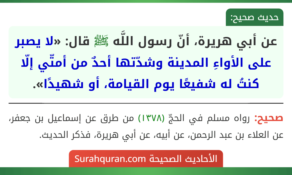 عن أبي هريرة، أنّ رسول اللَّه ﷺ قال: «لا يصبر على الأواءِ المدينة وشدّتها أحدٌ من أمتّي إلّا كنتُ له شفيعًا يوم القيامة، أو شهيدًا». عن أبي هريرة، أنّ رسول اللَّه ﷺ قال: «لا يصبر على الأواءِ المدينة وشدّتها أحدٌ من أمتّي إلّا كنتُ له شفيعًا يوم القيامة، أو شهيدًا».