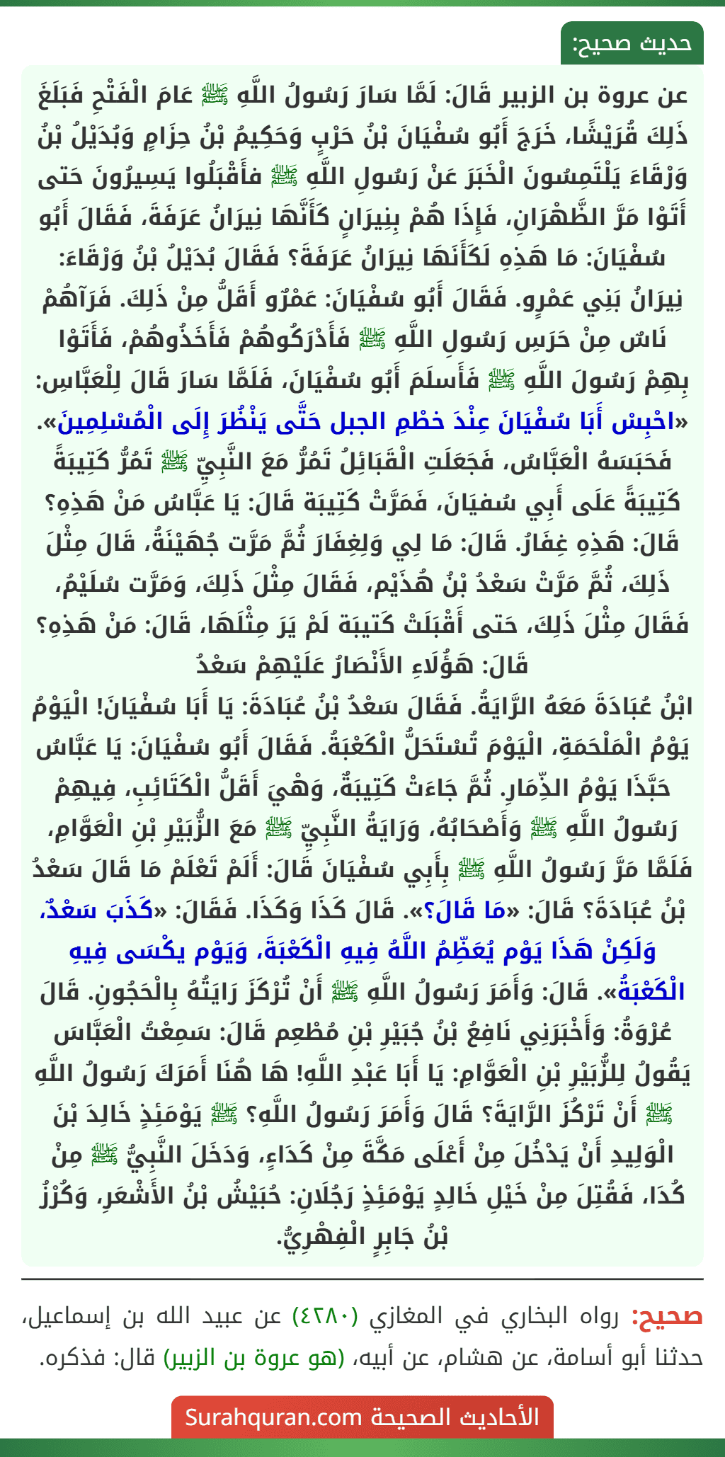 عن عروة بن الزبير قَالَ: لَمَّا سَارَ رَسُولُ اللَّهِ ﷺ عَامَ الْفَتْحِ فَبَلَغَ ذَلِكَ قُرَيْشًا، خَرَجَ أَبُو سُفْيَانَ بْنُ حَرْبٍ وَحَكِيمُ بْنُ حِزَامٍ وَبُدَيْلُ بْنُ وَرْقَاءَ يَلْتَمِسُونَ الْخَبَرَ عَنْ رَسُولِ اللَّهِ ﷺ فأَقْبَلُوا يَسِيرُونَ حَتى أَتَوْا مَرَّ الظَّهْرَانِ، فَإِذَا هُمْ بِنِيرَانٍ كَأَنَّهَا نِيرَانُ عَرَفَةَ، فَقَالَ أَبُو سُفْيَانَ: مَا هَذِهِ لَكَأَنَهَا نِيرَانُ عَرَفَةَ؟ فَقَالَ بُدَيْلُ بْنُ وَرْقَاءَ: نِيرَانُ بَنِي عَمْرٍو. فَقَالَ أَبُو سُفْيَانَ: عَمْرٌو أَقَلُّ مِنْ ذَلِكَ. فَرَآهُمْ نَاسٌ مِنْ حَرَسِ رَسُولِ اللَّهِ ﷺ فَأَدْرَكُوهُمْ فَأَخَذُوهُمْ، فَأَتَوْا بِهِمْ رَسُولَ اللَّهِ ﷺ فَأَسلَمَ أَبُو سُفْيَانَ، فَلَمَّا سَارَ قَالَ لِلْعَبَّاسِ: «احْبِسْ أَبَا سُفْيَانَ عِنْدَ خطْمِ الجبل حَتَّى يَنْظُرَ إِلَى الْمُسْلِمِينَ». فَحَبَسَهُ الْعَبَّاسُ، فَجَعَلَتِ الْقَبَائِلُ تَمُرُّ مَعَ النَّبِيِّ ﷺ تَمُرُّ كَتِيبَةً كَتِيبَةً عَلَى أَبِي سُفيَانَ، فَمَرَّتْ كَتِيبَة قَالَ: يَا عَبَّاسُ مَنْ هَذِهِ؟ قَالَ: هَذِهِ غِفَارُ. قَالَ: مَا لِي وَلِغِفَارَ ثُمَّ مَرَّت جُهَيْنَةُ، قَالَ مِثْلَ ذَلِكَ، ثُمَّ مَرَّتْ سَعْدُ بْنُ هُذَيْم، فَقَالَ مِثْلَ ذَلِكَ، وَمَرَّت سُلَيْمُ، فَقَالَ مِثْلَ ذَلِكَ، حَتى أَقْبَلَتْ كَتيبَة لَمْ يَرَ مِثْلَهَا، قَالَ: مَنْ هَذِهِ؟ قَالَ: هَؤُلَاءِ الأَنْصَارُ عَلَيْهِمْ سَعْدُ
ابْنُ عُبَادَةَ مَعَهُ الرَّايَةُ. فَقَالَ سَعْدُ بْنُ عُبَادَةَ: يَا أَبَا سُفْيَانَ! الْيَوْمُ يَوْمُ الْمَلْحَمَةِ، الْيَوْمَ تُسْتَحَلُّ الْكَعْبَةُ. فَقَالَ أَبُو سُفْيَانَ: يَا عَبَّاسُ حَبَّذَا يَوْمُ الذِّمَارِ. ثُمَّ جَاءَتْ كَتِيبَةٌ، وَهْيَ أَقَلُّ الْكَتَائِبِ، فِيهِمْ رَسُولُ اللَّهِ ﷺ وَأَصْحَابُهُ، وَرَايَةُ النَّبِيِّ ﷺ مَعَ الزُّبَيْرِ بْنِ الْعَوَّامِ، فَلَمَّا مَرَّ رَسُولُ اللَّهِ ﷺ بِأَبِي سُفْيَانَ قَالَ: أَلَمْ تَعْلَمْ مَا قَالَ سَعْدُ بْنُ عُبَادَةَ؟ قَالَ: «مَا قَالَ؟». قَالَ كَذَا وَكَذَا. فَقَالَ: «كَذَبَ سَعْدٌ، وَلَكِنْ هَذَا يَوْم يُعَظِّمُ اللَّهُ فِيهِ الْكَعْبَةَ، وَيَوْم يكْسَى فِيهِ الْكَعْبَةُ». قَالَ: وَأَمَرَ رَسُولُ اللَّهِ ﷺ أَنْ تُرْكَزَ رَايَتُهُ بِالْحَجُونِ. قَالَ عُرْوَةُ: وَأَخْبَرَنِي نَافِعُ بْنُ جُبَيْرِ بْنِ مُطْعِم قَالَ: سَمِعْتُ الْعَبَّاسَ يَقُولُ لِلزُّبَيْرِ بْنِ الْعَوَّامِ: يَا أَبَا عَبْدِ اللَّهِ! هَا هُنَا أَمَرَكَ رَسُولُ اللَّهِ ﷺ أَنْ تَرْكُزَ الرَّايَةَ؟ قَالَ وَأَمَرَ رَسُولُ اللَّهِ؟ ﷺ يَوْمَئِذٍ خَالِدَ بْنَ الْوَلِيدِ أَنْ يَدْخُلَ مِنْ أَعْلَى مَكَّةَ مِنْ كَدَاءٍ، وَدَخَلَ النَّبِيُّ ﷺ مِنْ كُدَا، فَقُتِلَ مِنْ خَيْلِ خَالِدٍ يَوْمَئِذٍ رَجُلَانِ: حُبَيْشُ بْنُ الأَشْعَرِ، وَكُرْزُ بْنُ جَابِرٍ الْفِهْرِيُّ.