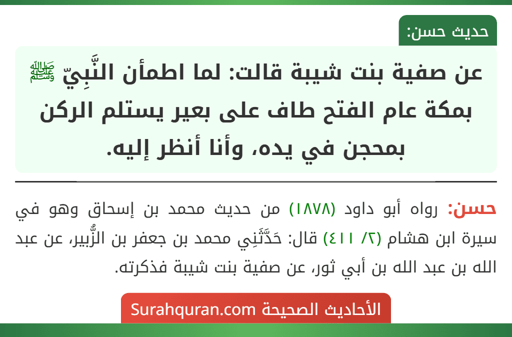 عن صفية بنت شيبة قالت: لما اطمأن النَّبِيّ ﷺ بمكة عام الفتح طاف على بعير يستلم الركن بمحجن في يده، وأنا أنظر إليه.
