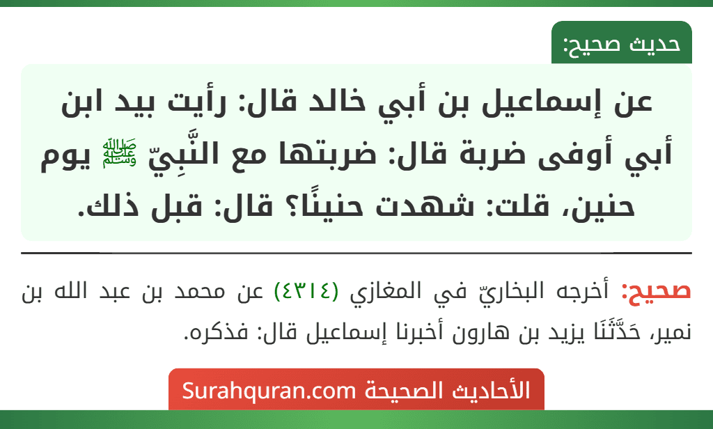 عن إسماعيل بن أبي خالد قال: رأيت بيد ابن أبي أوفى ضربة قال: ضربتها مع النَّبِيّ ﷺ يوم حنين، قلت: شهدت حنينًا؟ قال: قبل ذلك.