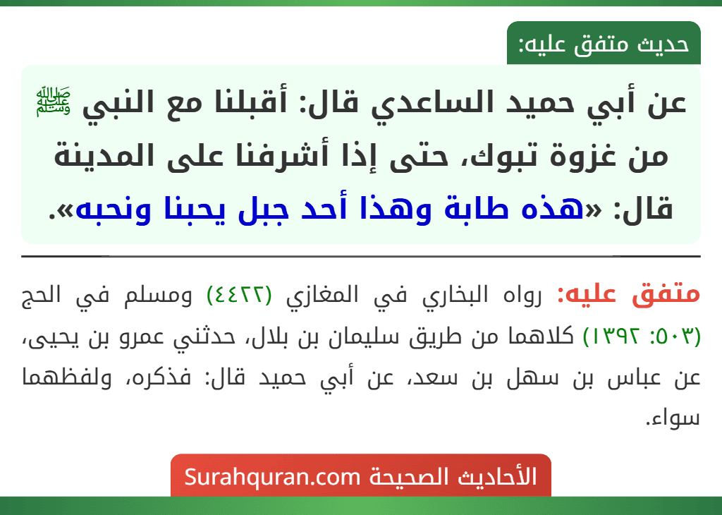 عن أبي حميد الساعدي قال: أقبلنا مع النبي ﷺ من غزوة تبوك، حتى إذا أشرفنا على المدينة قال: «هذه طابة وهذا أحد جبل يحبنا ونحبه».