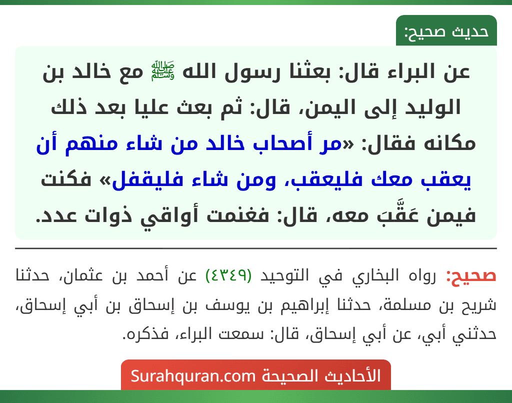 عن البراء قال: بعثنا رسول الله ﷺ مع خالد بن الوليد إلى اليمن، قال: ثم بعث عليا بعد ذلك مكانه فقال: «مر أصحاب خالد من شاء منهم أن يعقب معك فليعقب، ومن شاء فليقفل» فكنت فيمن عَقَّبَ معه، قال: فغنمت أواقي ذوات عدد.