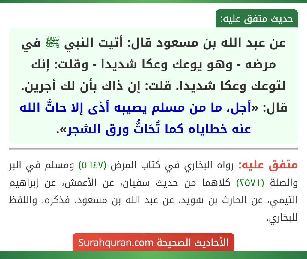 عن عبد الله بن مسعود قال: أتيت النبي ﷺ في مرضه - وهو يوعك وعكا شديدا - وقلت: إنك لتوعك وعكا شديدا. قلت: إن ذاك بأن لك أجرين. قال: «أجل، ما من مسلم يصيبه أذى إلا حاتَّ الله عنه خطاياه كما تُحَاتُّ ورق الشجر». عن عبد الله بن مسعود قال: أتيت النبي ﷺ في مرضه - وهو يوعك وعكا شديدا - وقلت: إنك لتوعك وعكا شديدا. قلت: إن ذاك بأن لك أجرين. قال: «أجل، ما من مسلم يصيبه أذى إلا حاتَّ الله عنه خطاياه كما تُحَاتُّ ورق الشجر».