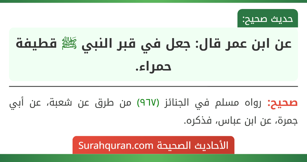 عن ابن عمر قال: جعل في قبر النبي ﷺ قطيفة حمراء.