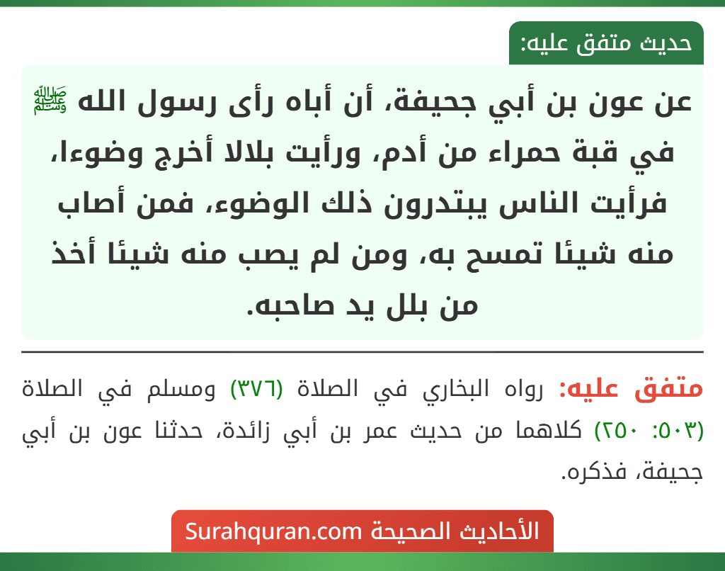 عن عون بن أبي جحيفة، أن أباه رأى رسول الله ﷺ في قبة حمراء من أدم، ورأيت بلالا أخرج وضوءا، فرأيت الناس يبتدرون ذلك الوضوء، فمن أصاب منه شيئا تمسح به، ومن لم يصب منه شيئا أخذ من بلل يد صاحبه.