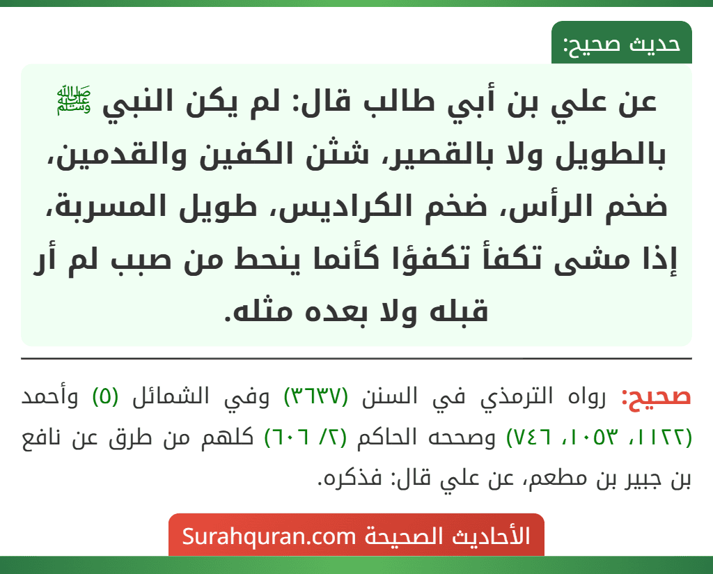عن علي بن أبي طالب قال: لم يكن النبي ﷺ بالطويل ولا بالقصير، شثن الكفين والقدمين، ضخم الرأس، ضخم الكراديس، طويل المسربة، إذا مشى تكفأ تكفؤا كأنما ينحط من صبب لم أر قبله ولا بعده مثله.