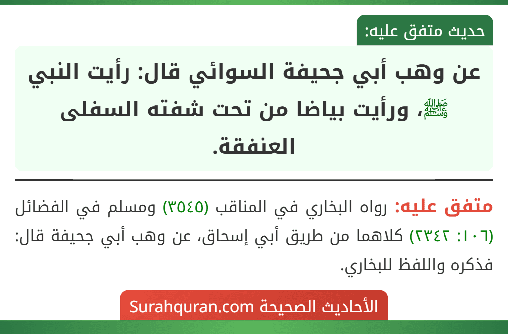 عن وهب أبي جحيفة السوائي قال: رأيت النبي ﷺ، ورأيت بياضا من تحت شفته السفلى العنفقة.